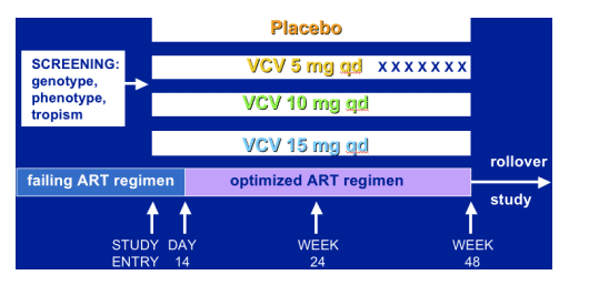 placebo-1.gif