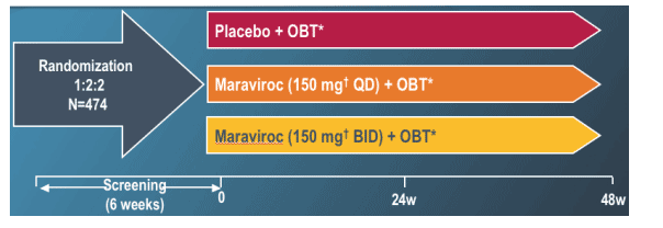 Placebo-1.gif