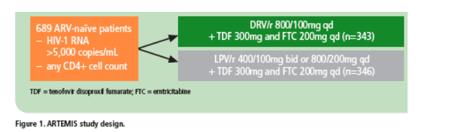 TDF-1.gif