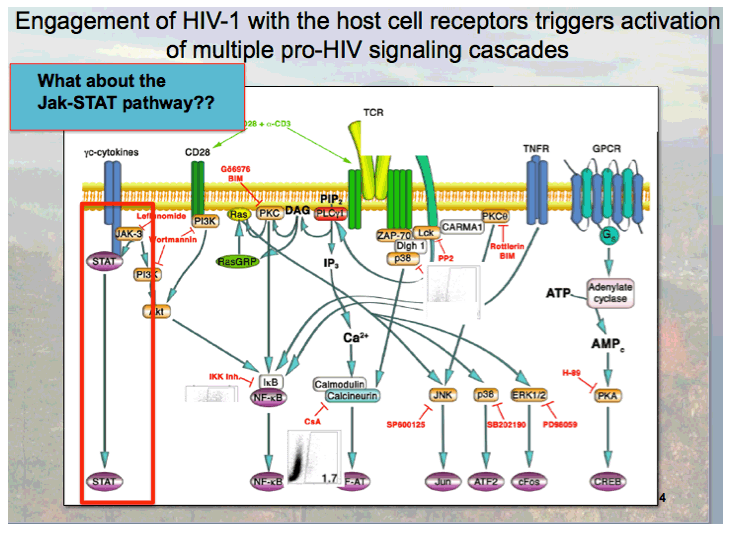 HIVHCVResist6.gif