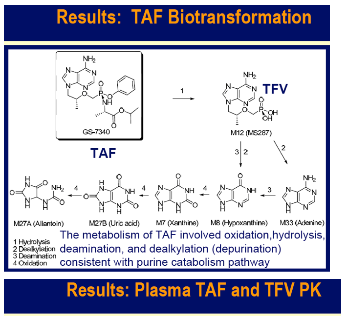 Pharm8.gif