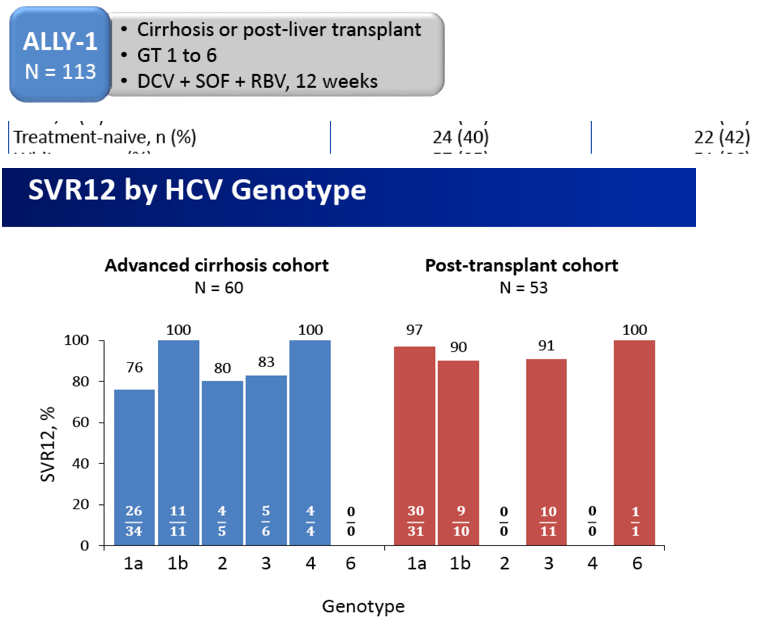 HCV17.gif