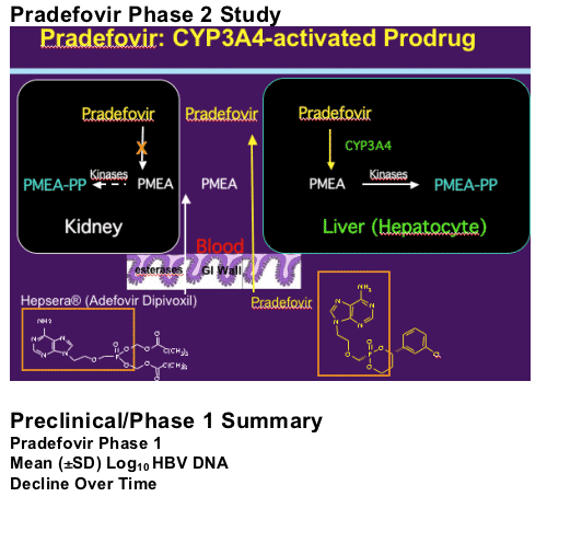 Pradefovir-1.gif