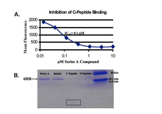 C-PBinding-7.gif