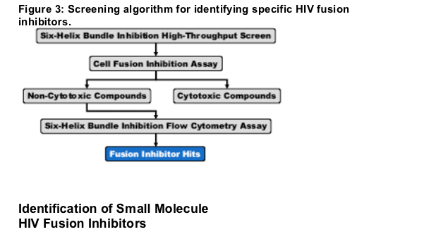 screening-3.gif