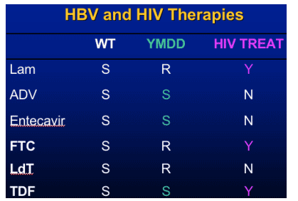 hbvandHIV-8.gif