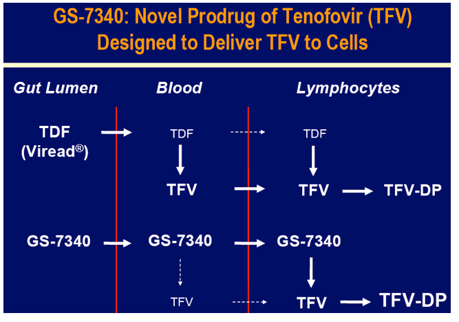 CROI3.gif