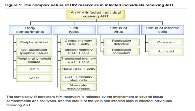 HIV1.gif