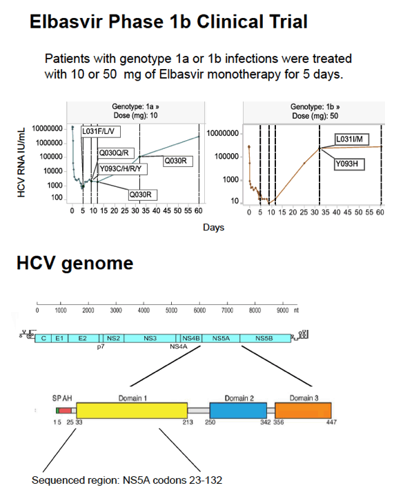 HCV2