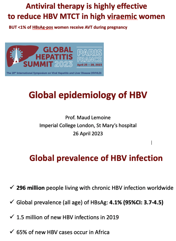 Global epidemiology of HBV (Global Hepatitis Summit 4/28/2023 Paris)