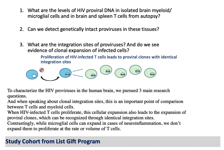 0407264